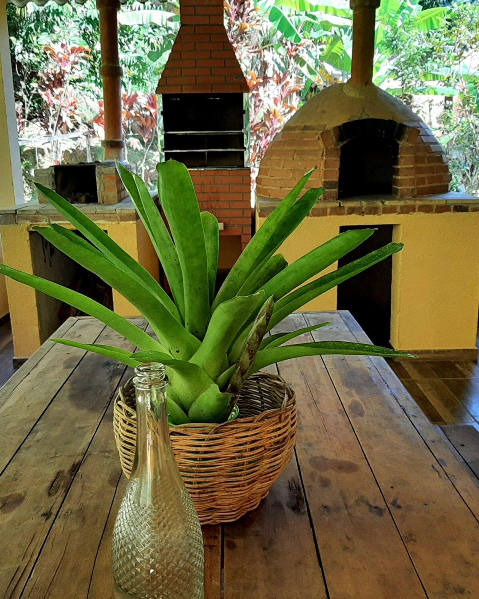 Casa Da Ilha Paraty Entre A Mata Atlantica E O Marヴィラ エクステリア 写真